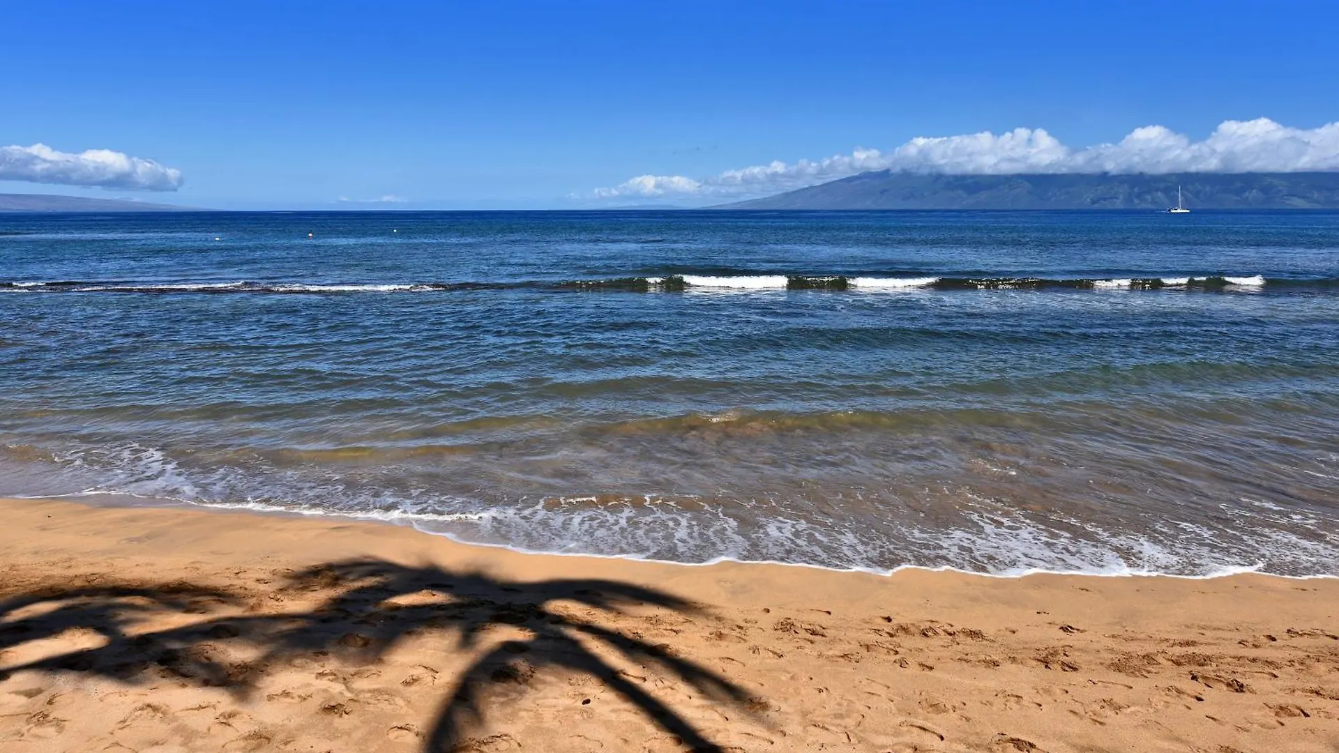 Kaanapali Shores 160 - Sleep Steps Away From The Ocean Kahana United States