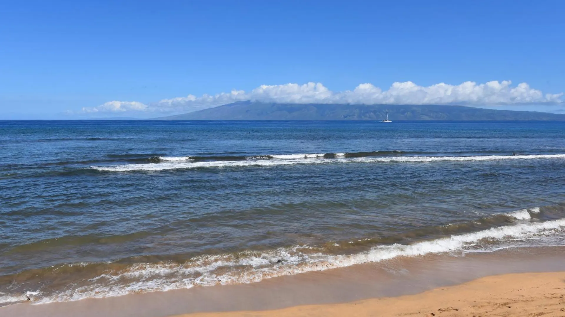Kaanapali Shores 160 - Sleep Steps Away From The Ocean Kahana 0*,  United States