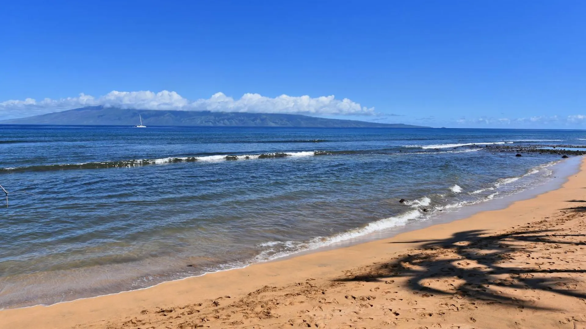 Kaanapali Shores 160 - Sleep Steps Away From The Ocean Kahana Resort