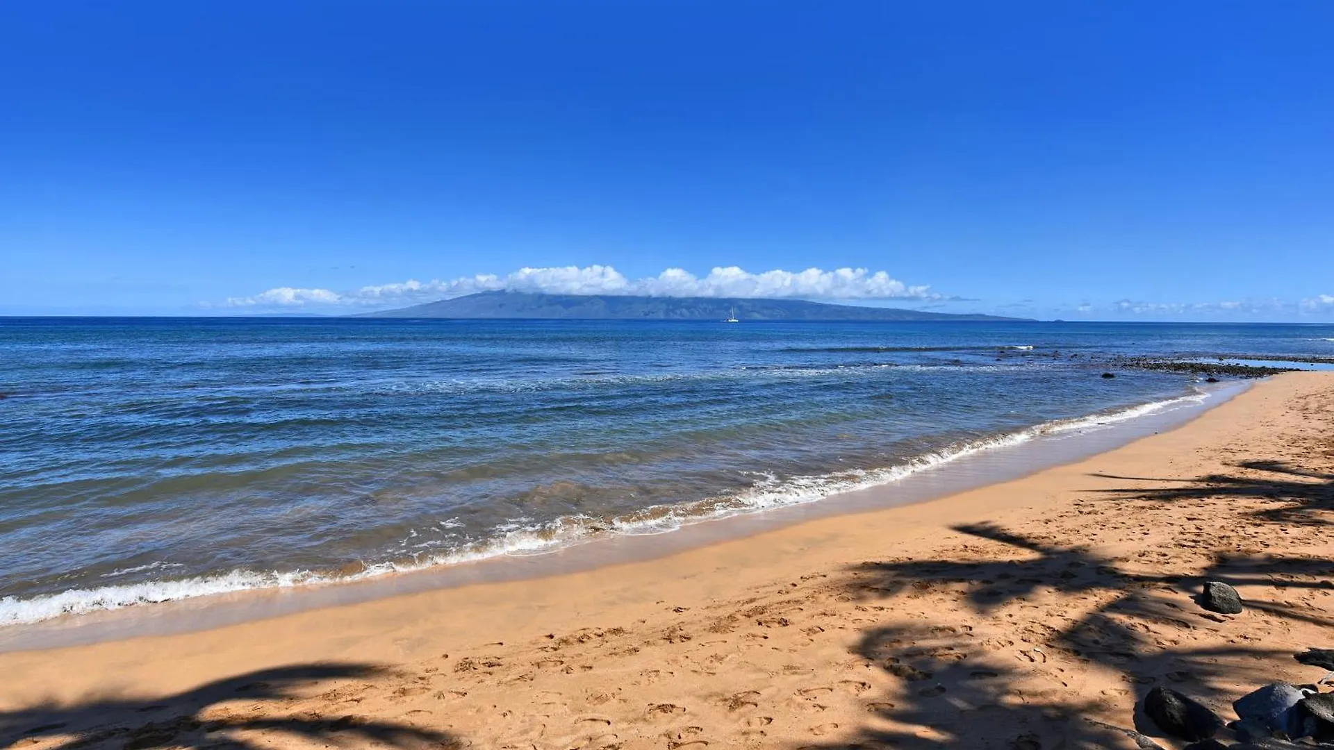Kaanapali Shores 160 - Sleep Steps Away From The Ocean Kahana Rezort