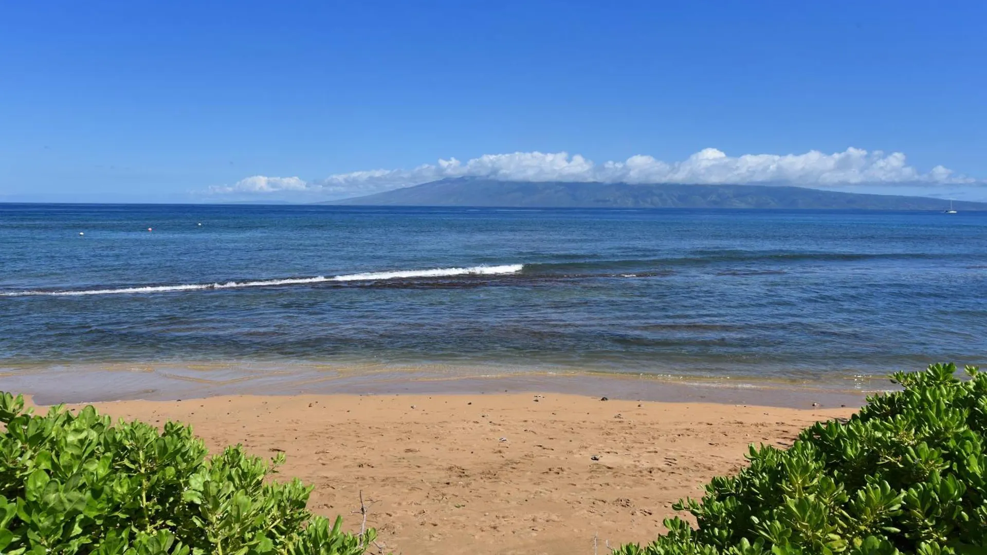 Kaanapali Shores 160 - Sleep Steps Away From The Ocean Kahana